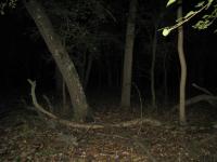 Chicago Ghost Hunters Group investigates Robinson Woods (99).JPG